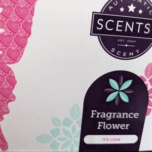 Scentsy Fragrance Flower It's Love - NEW